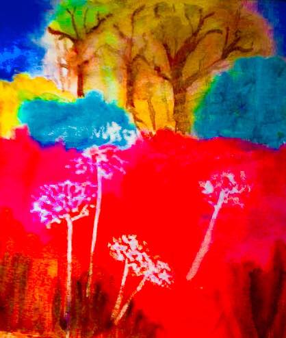 29261832_992345794250794_1326584830728601600_n