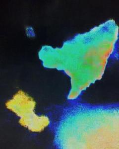 7096049_4f7877e4b0_m