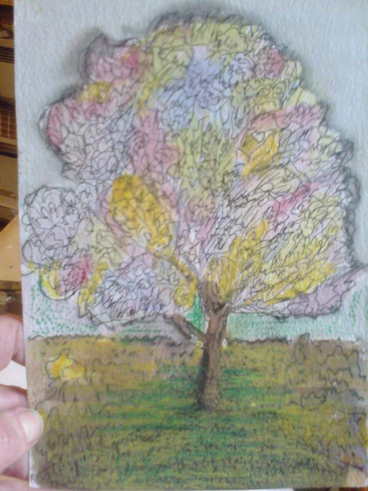 31052177_1114868395319704_5033975810084569088_n