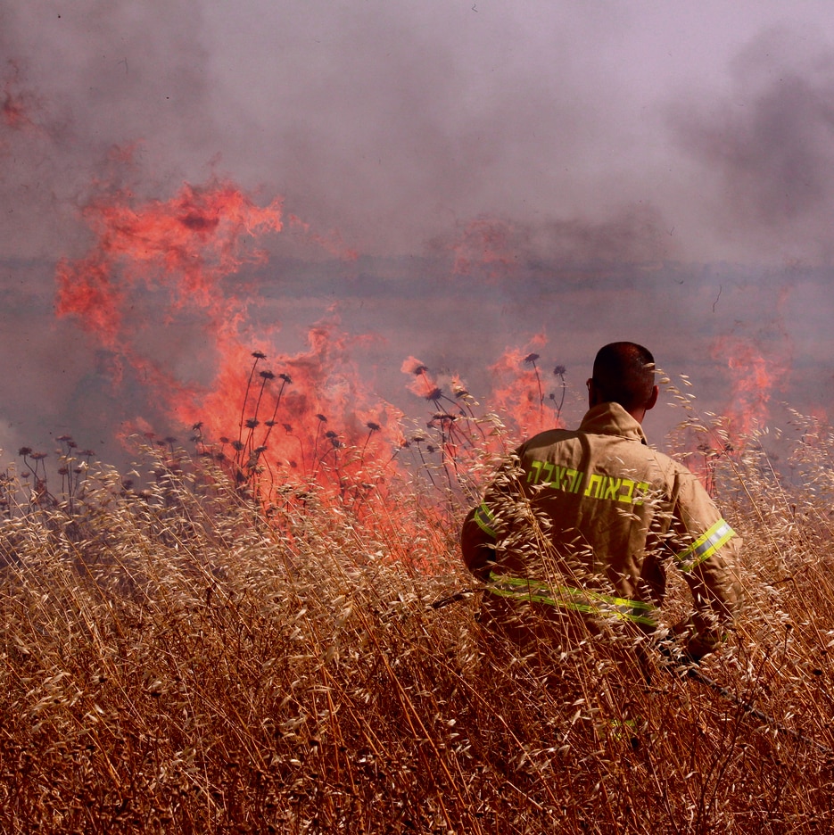 10151808_10151841_rumble