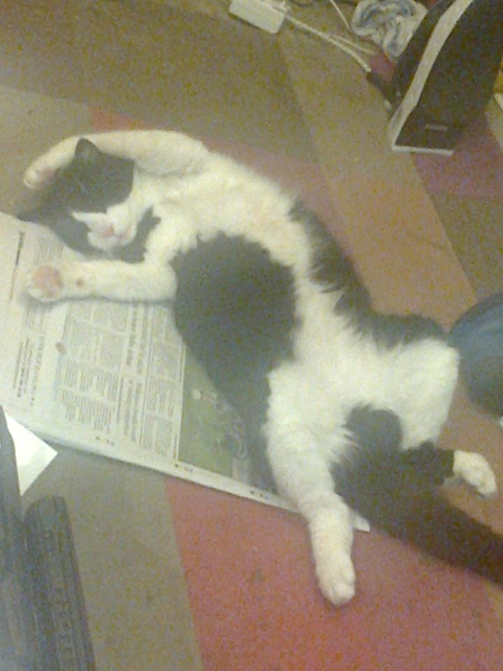 12299302_642095315930350_3587466114965928393_n