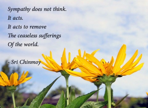 sympathy-does-not-thinkflower-blue-sky-481x350