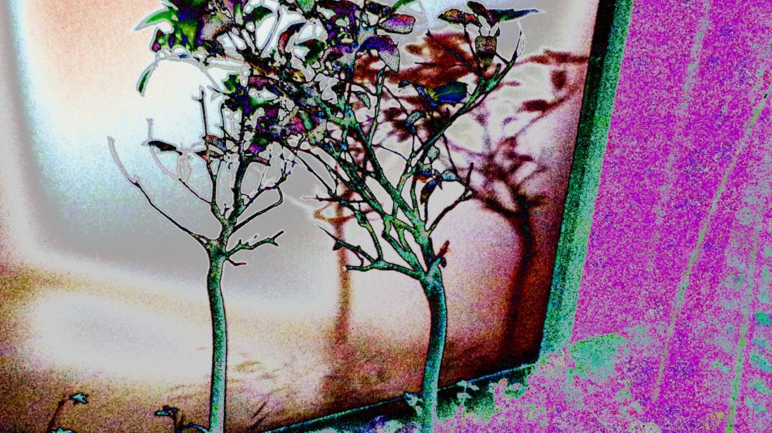 11 bbbbbbb875135_607677619372120_8172549615792536178_o