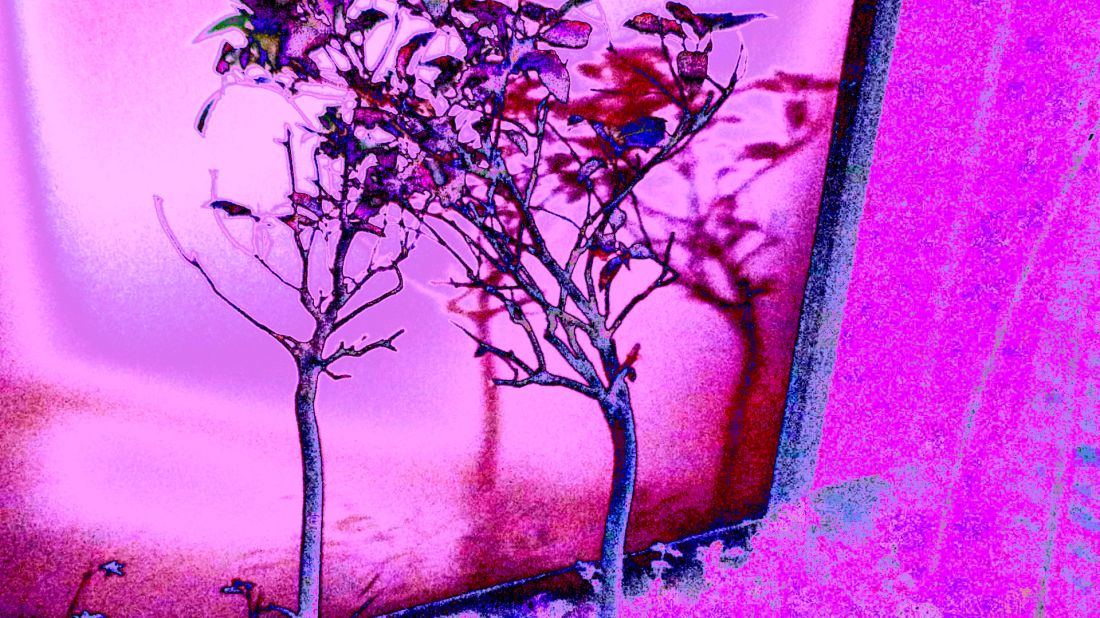 11 bbbbbnnnnnnnnnbb875135_607677619372120_8172549615792536178_o