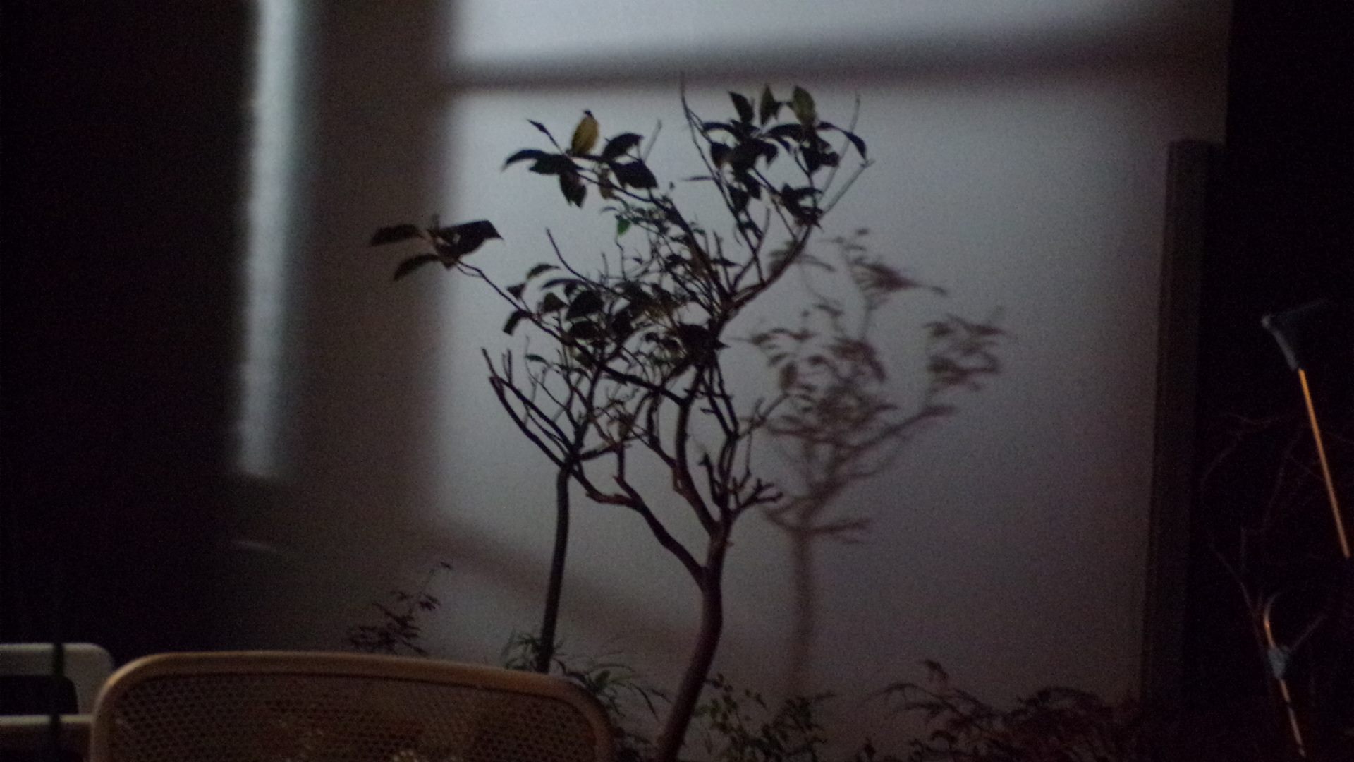 11850525_607677849372097_8850931122170517998_o