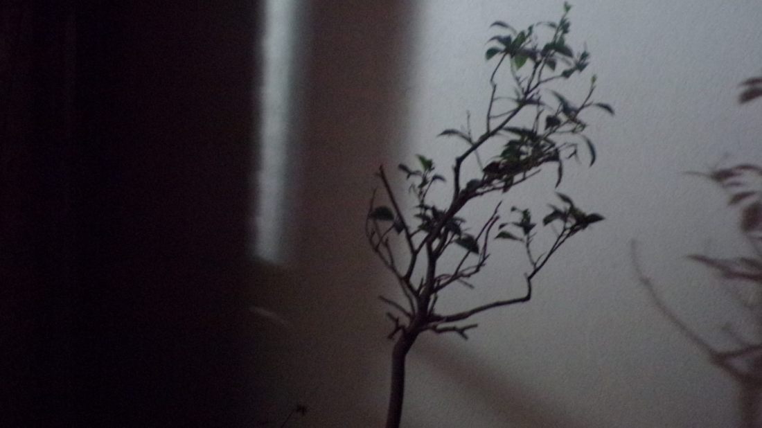 11947749_607677642705451_7462838250476200851_o