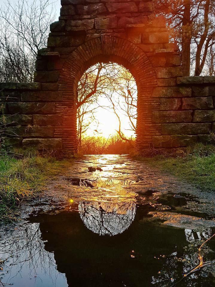 40046020_1954111211314812_8944128776690728960_n