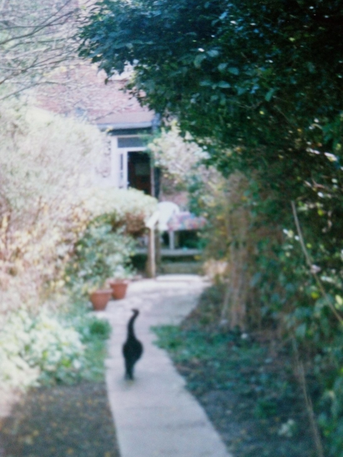 IMG_20181209_132751757