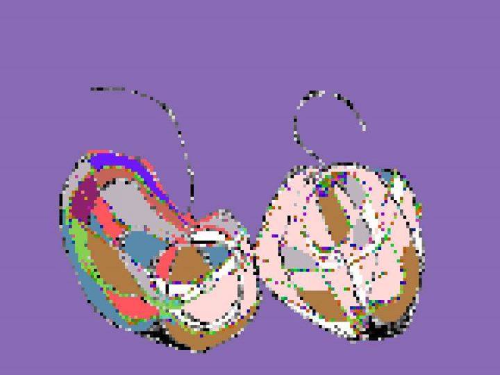 27067324_1065257550280789_1277755180664167940_n