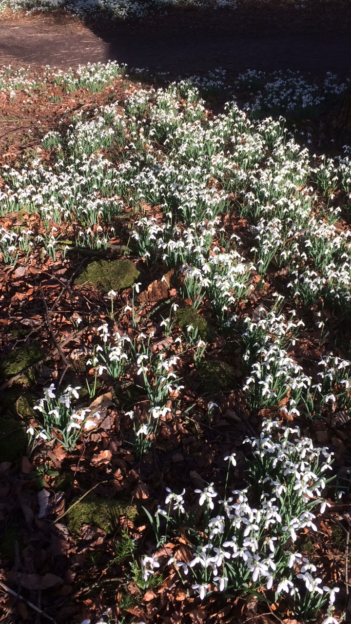 71AE63C1-E7C0-41E6-9AF4-BC69A46C5B71