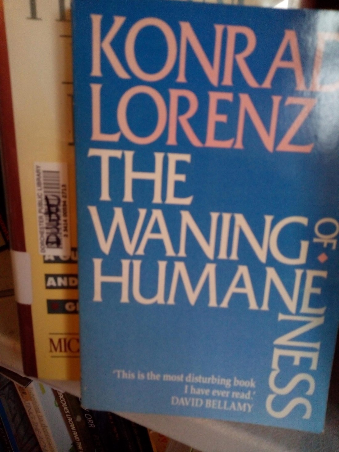 IMG_20190312_132932391