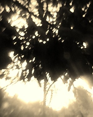 7821302_ecf18c80c3_m