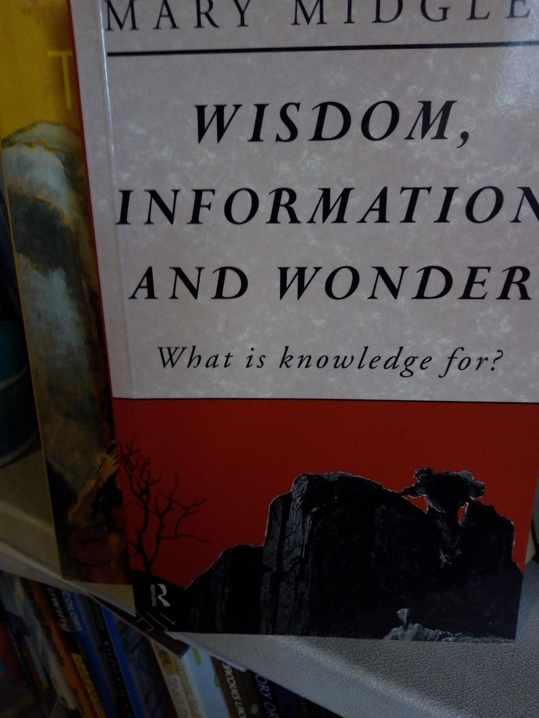 IMG_20190312_133332821