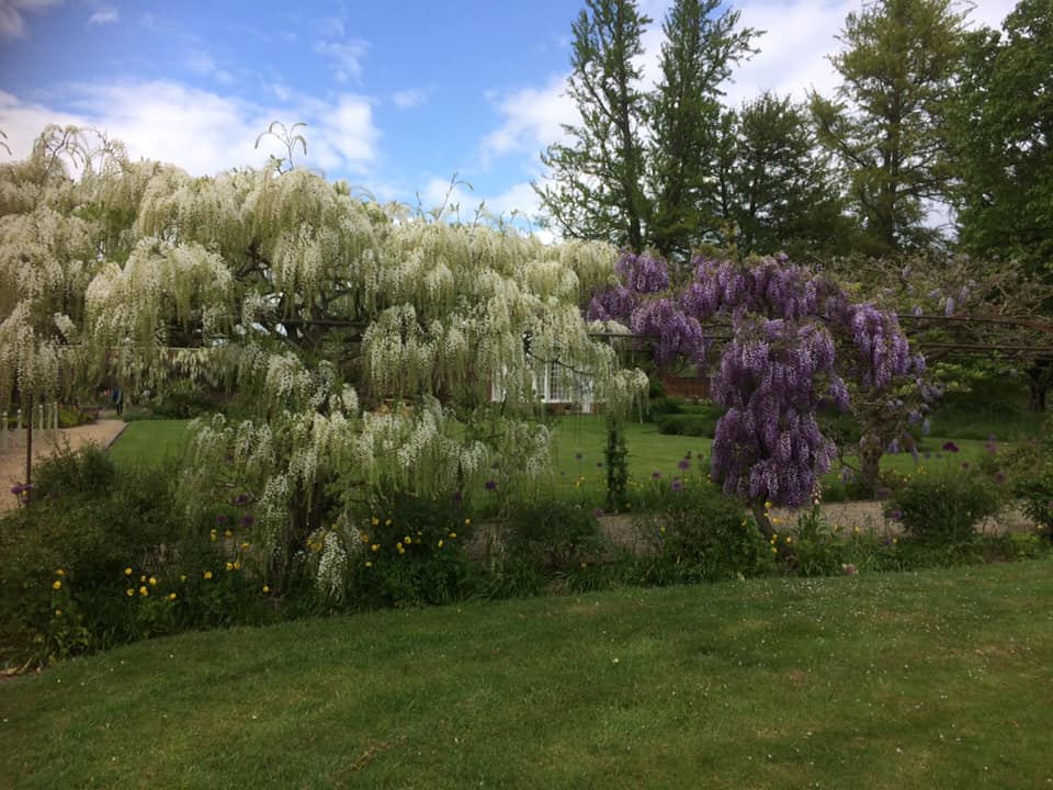 61589295_10217024726103766_310938280562524160_n