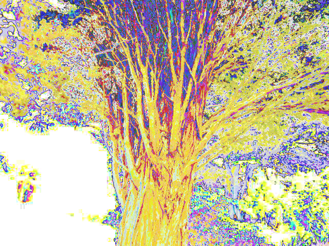lighter-tree (1)