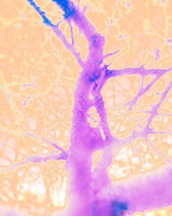 6804453_22abec948f_a-2-1