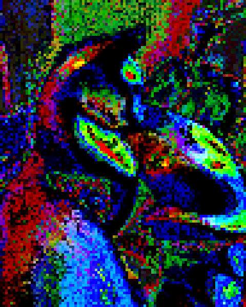 12234959_637586349714580_5390832034253217208_n