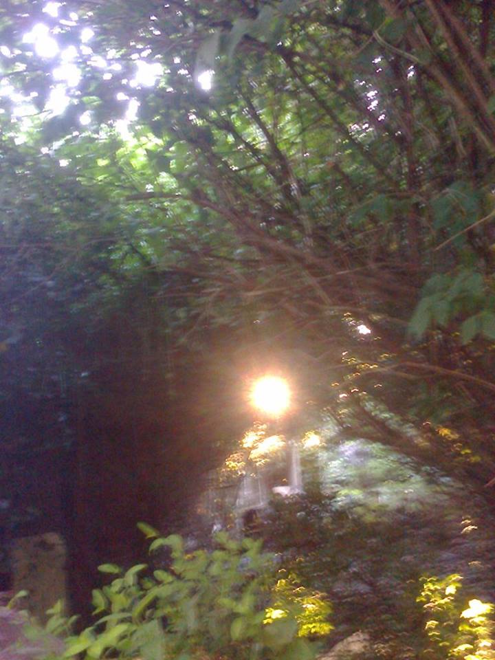 36064355_1156369647836245_7488378942043193344_n-1