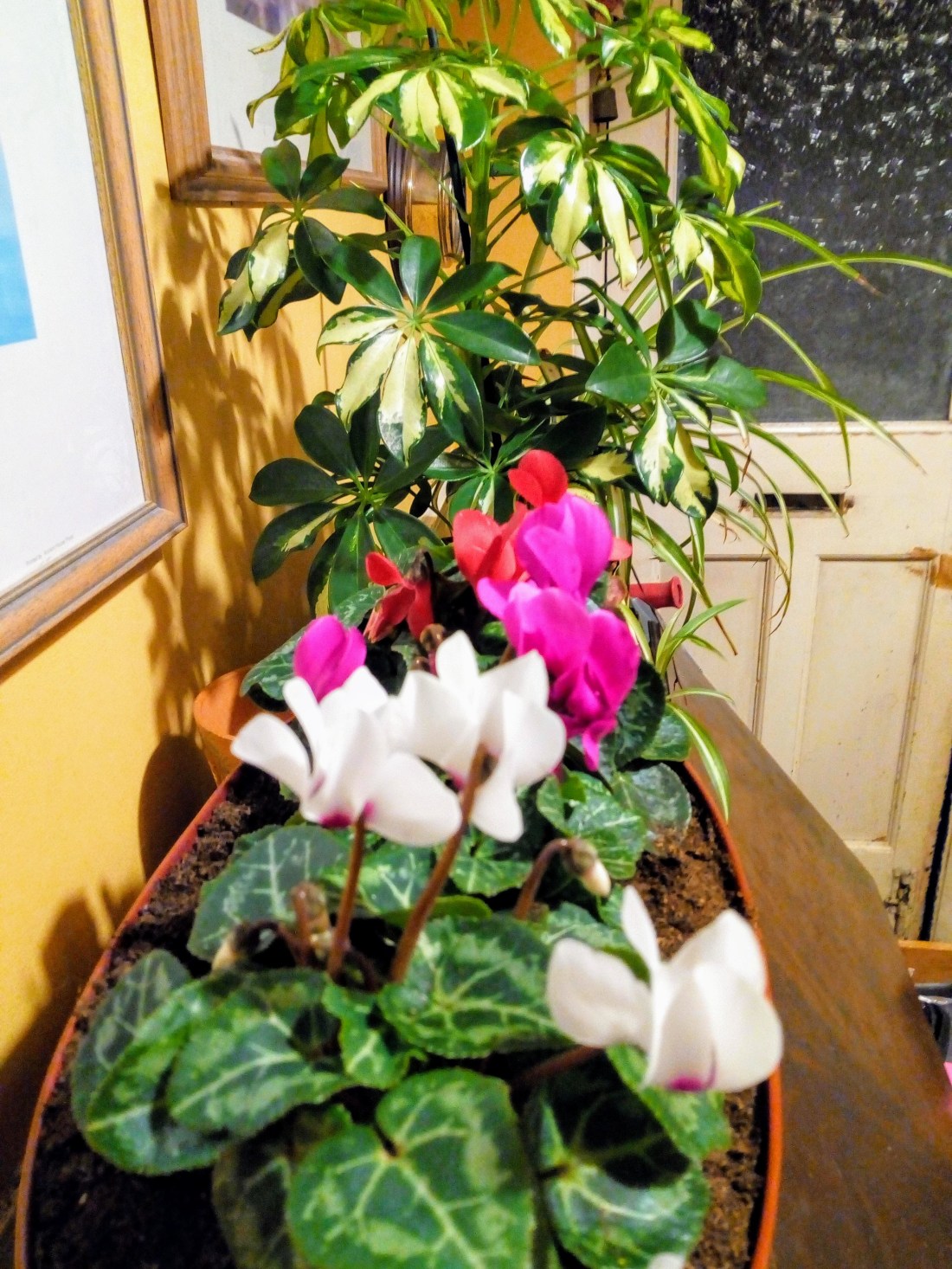 img_20191201_185820489-effects