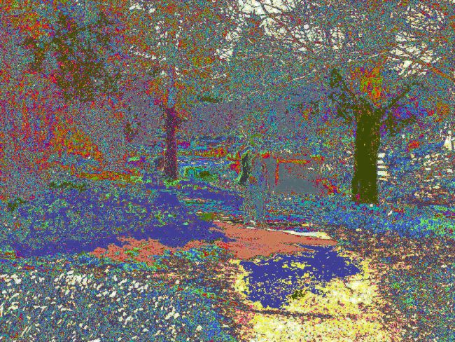 by-the-lily-pond-in-a-wood-brighter (1)