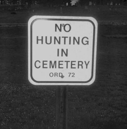 13466023_728418570631357_8779398737476993536_n