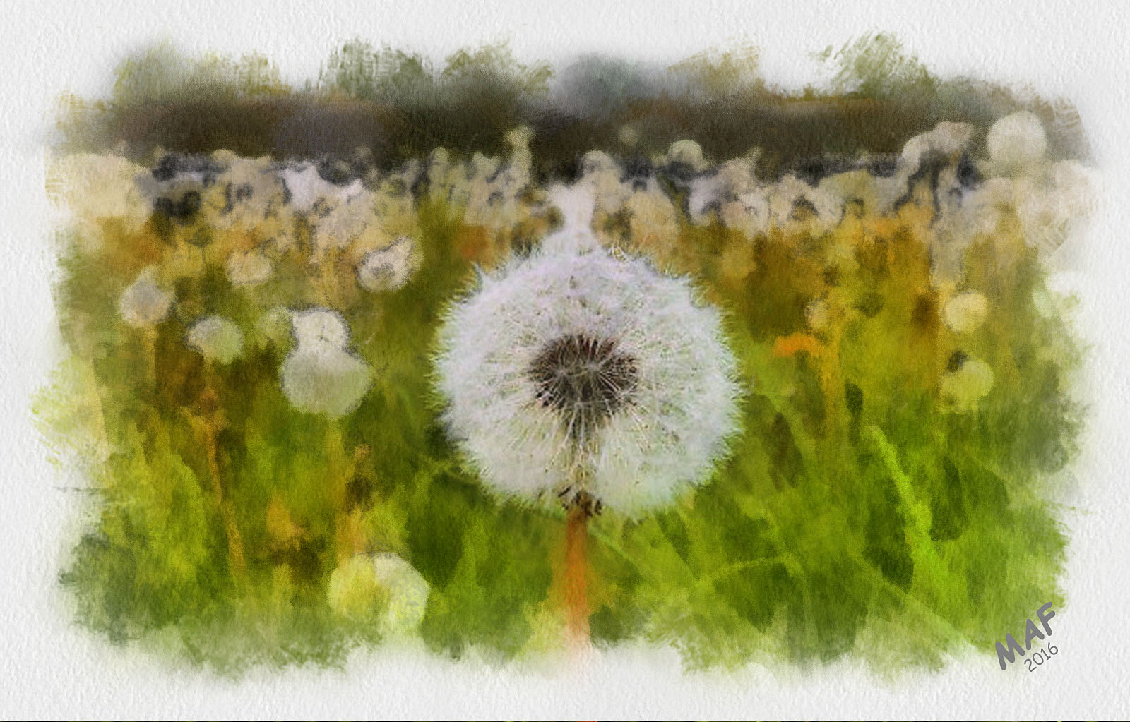 DandelionClocks
